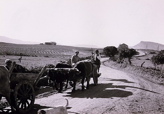 Momenti di vita quotidiana - il trasporto nei campi
