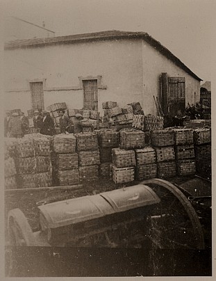 Momenti di vita quotidiana-Azienda Stangoni