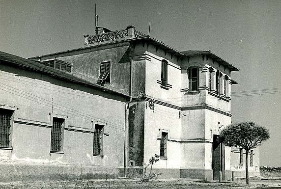 Codaruina - Azienda Stangoni