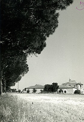 Codaruina -Azienda Stangoni