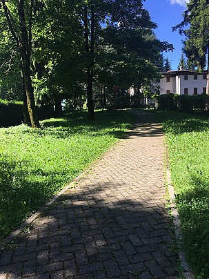 osio 7