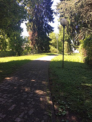 osio 8