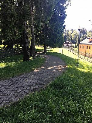 osio 11