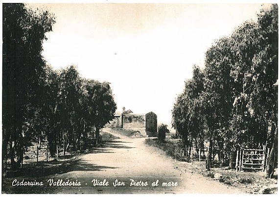 Viale San Pietro a Mare