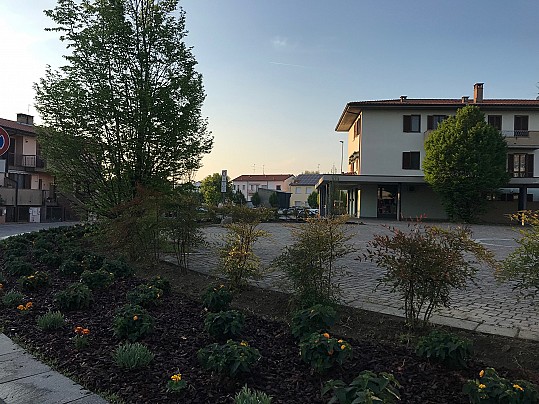 IMG_0366