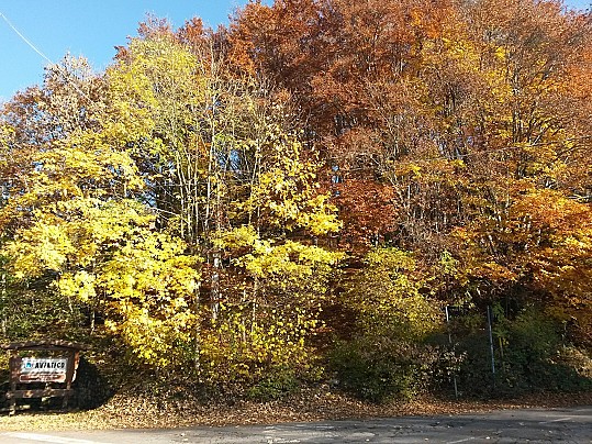 166201711354270