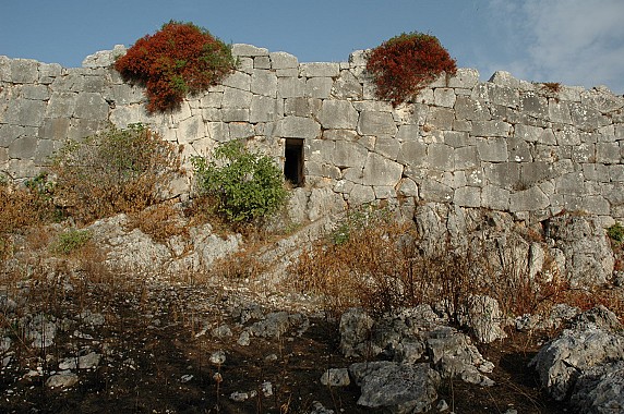 mura 2