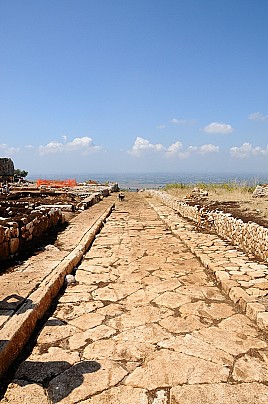 DSC_5595(2)