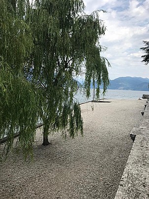 IMG-20190621-WA0006