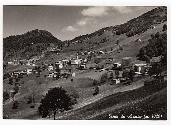 avia