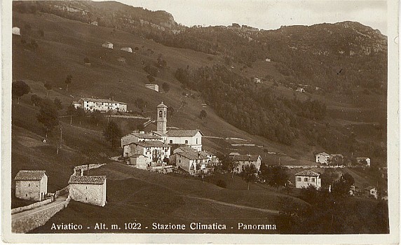 avia1