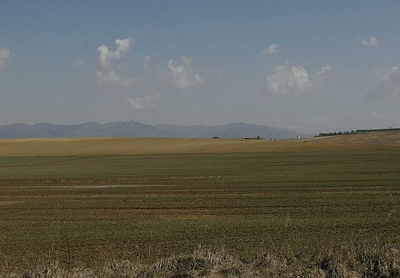 Cattura