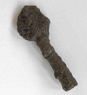 Cauttura