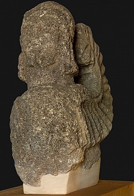 Cattyura