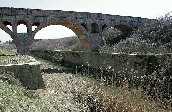WEAFZSD