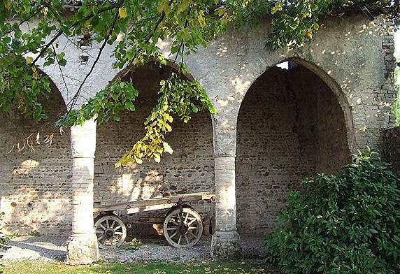 medole_10