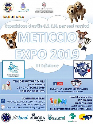 locandina meticcio expo 2019 testo news