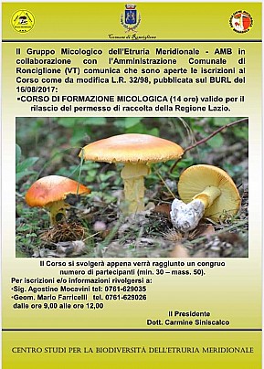 FB_IMG_1571298721673