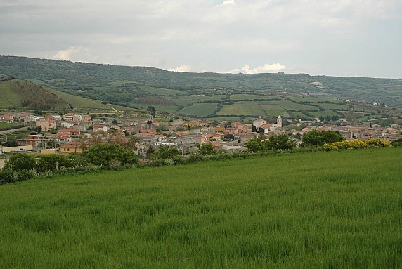 Cattura