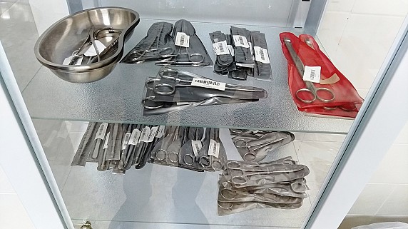 P_20191104_153256_vHDR_Auto