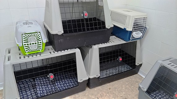 P_20191104_153329_vHDR_Auto