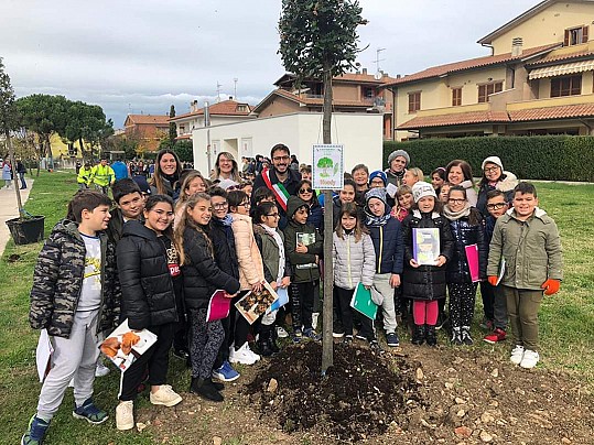 festa albero due