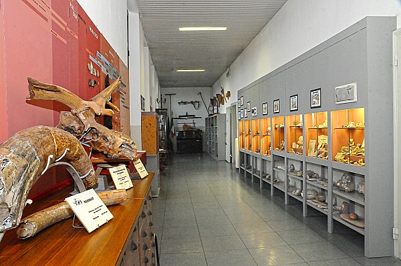 F1 panoramica-fossili 1