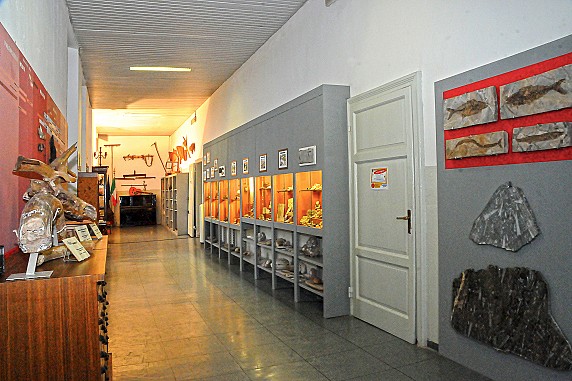 F2 panoramica-fossili 2