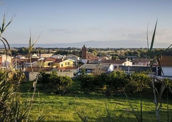 Immagine non trovata