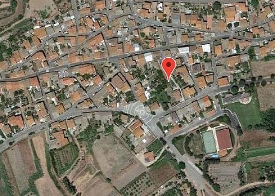 Immagine non trovata