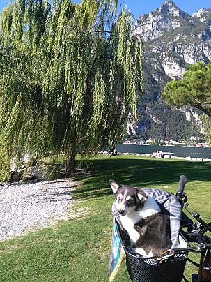 IMG-20200214-WA0012