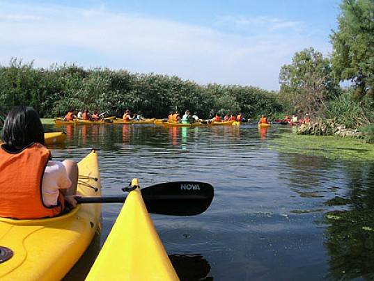 kayak