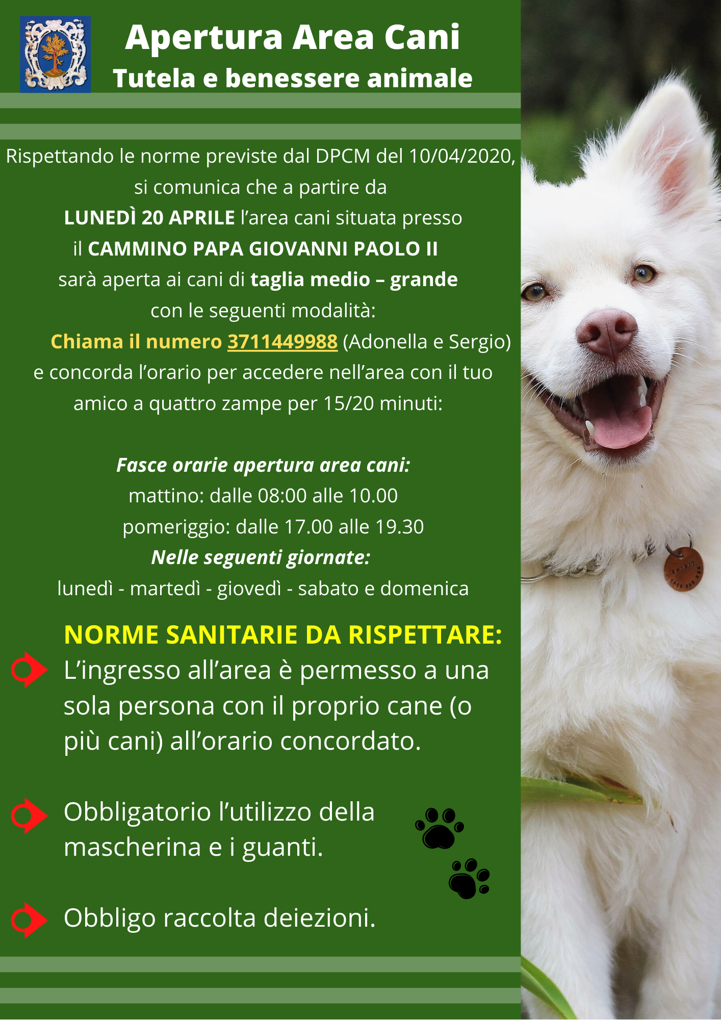 Immagine non trovata