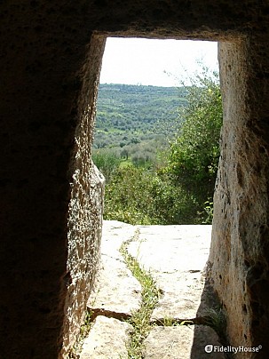 sas puntas,.