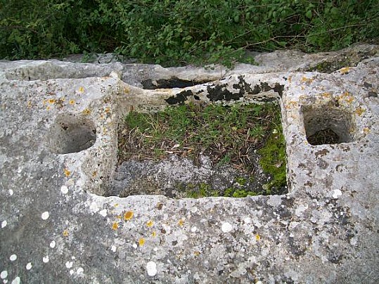 sas puntas,