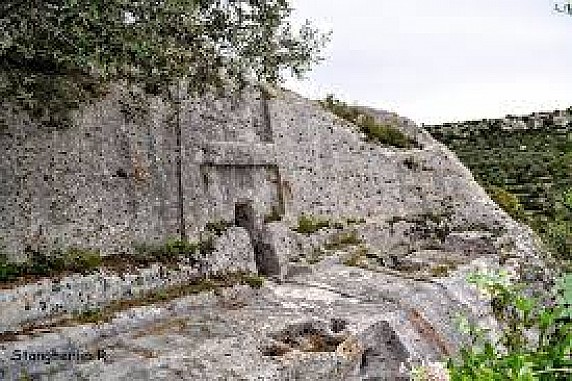 SAS PU