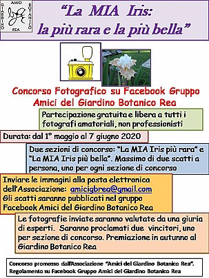 Concorso_Iris_REA
