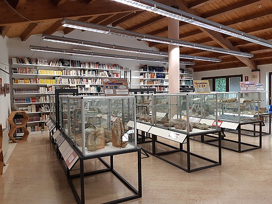 Museo fedrigo 3