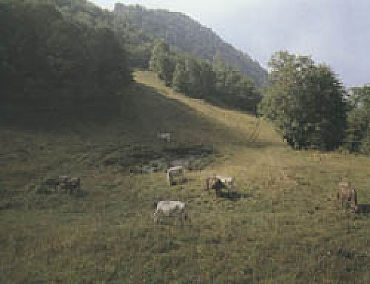 foto-08