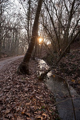 5D3_5953_FL