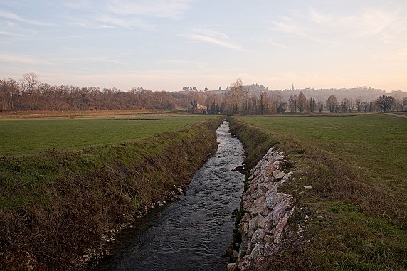 5D3_5960_FL