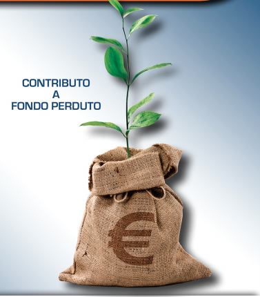 Immagine non trovata