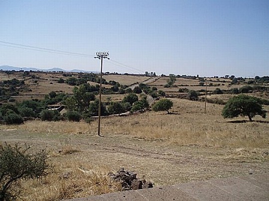 i355991039161867410