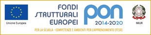 Immagine non trovata