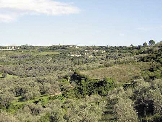 monte-de-tissi