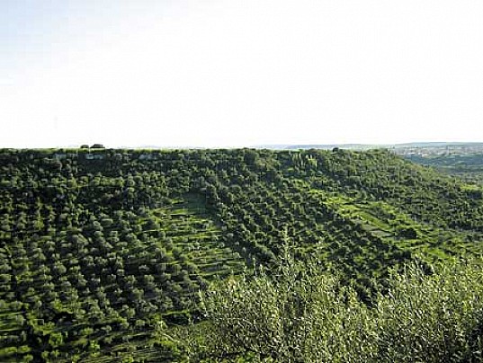 monte-s-andria