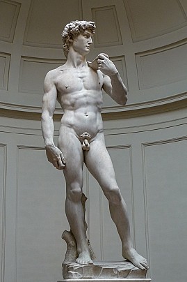 Il David
