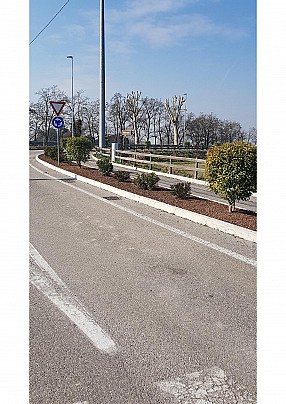 Senza nome 5