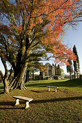 parco 4
