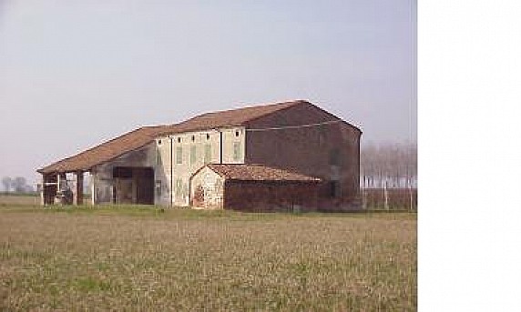 28loghinobiasiolo.JPG